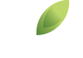 Lamirada